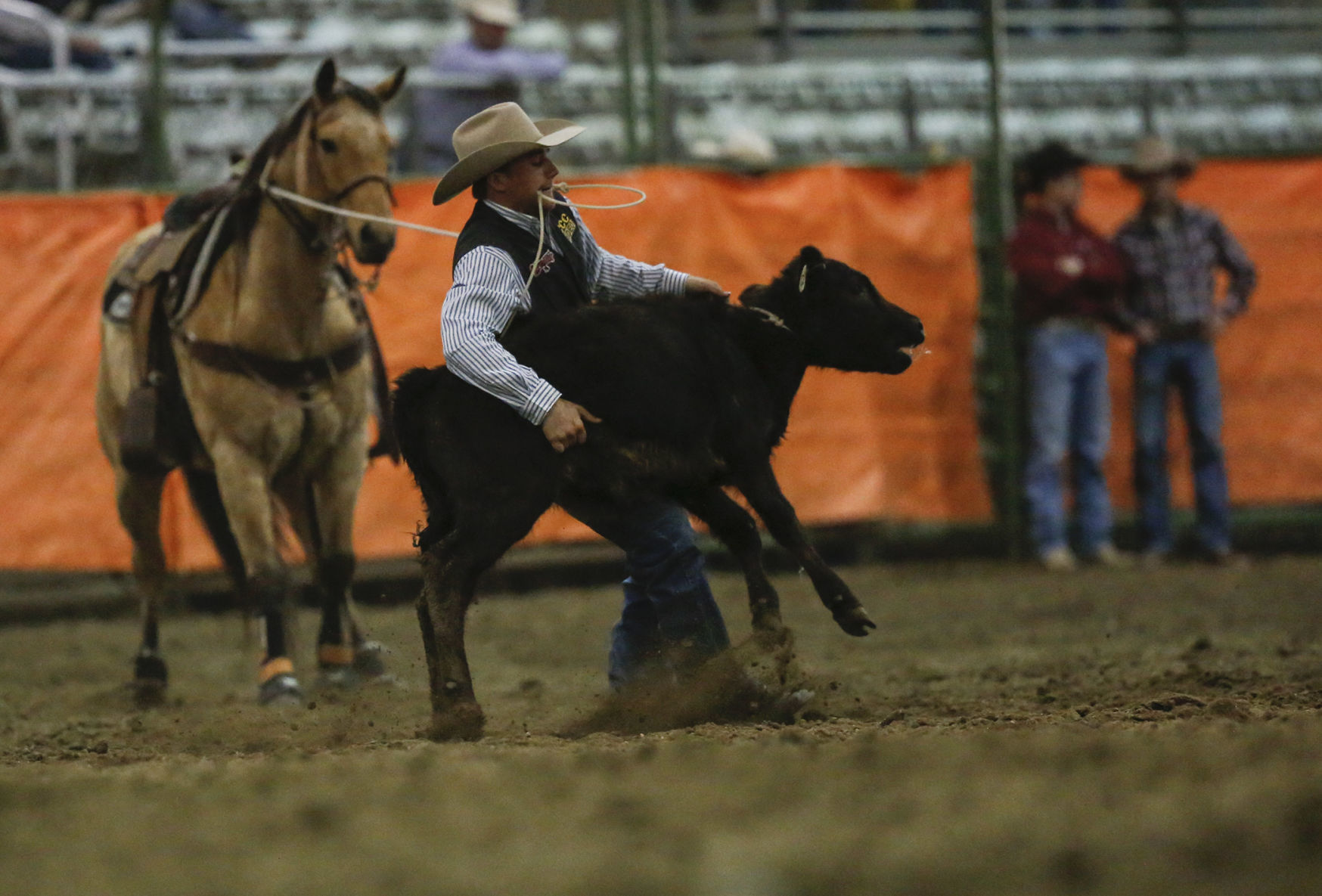 Ropin' and Riggin' Days
